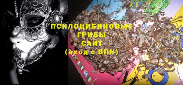 тгк Алексеевка