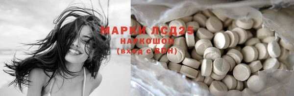 PSILOCYBIN Алзамай