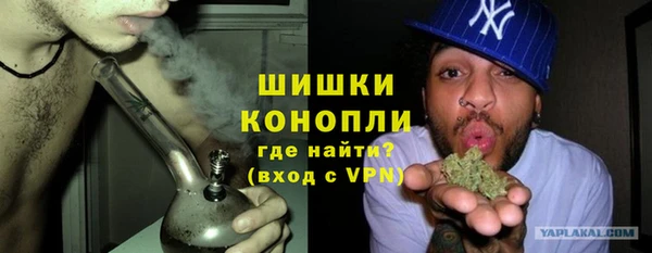 PSILOCYBIN Алзамай