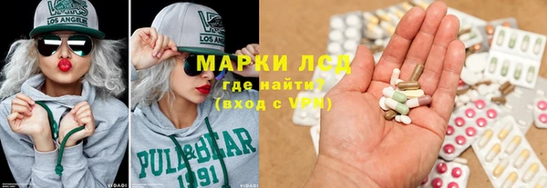 PSILOCYBIN Алзамай