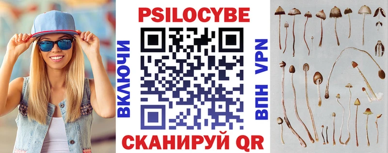 kraken рабочий сайт  Канаш  Псилоцибиновые грибы ЛСД 