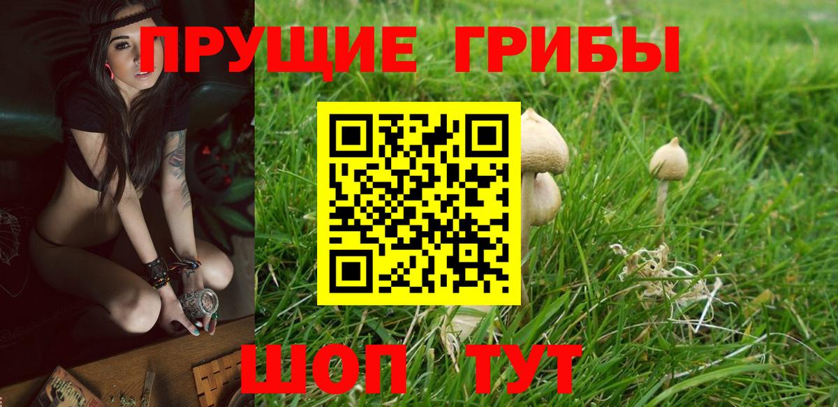 Псилоцибиновые грибы мухоморы Канаш