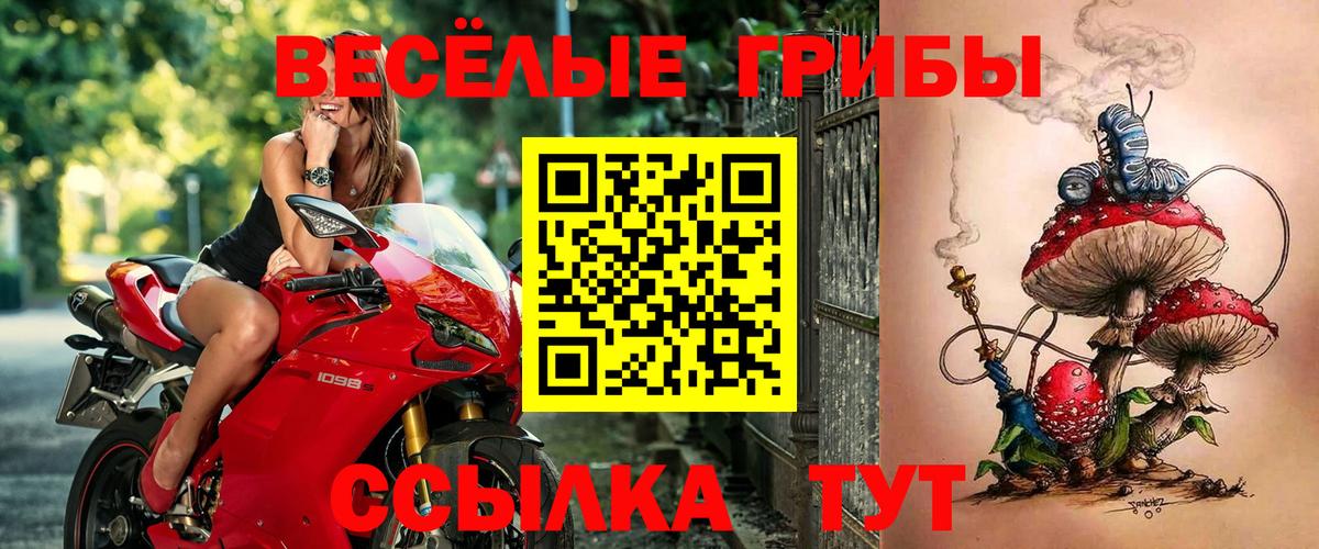 Галлюциногенные грибы мицелий  Вход с VPN  продажа наркотиков  Псилоцибиновые грибы Magic Shrooms  Канаш 
