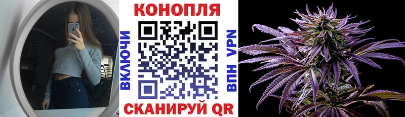 купить наркотик  Канаш  Бошки марихуана семена 