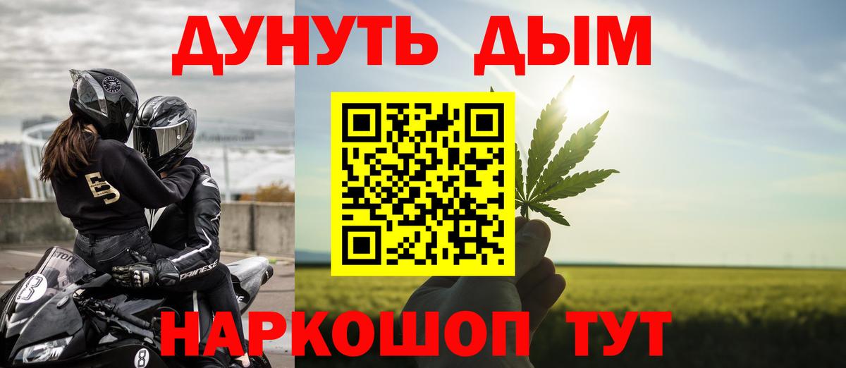 Конопля конопля Канаш