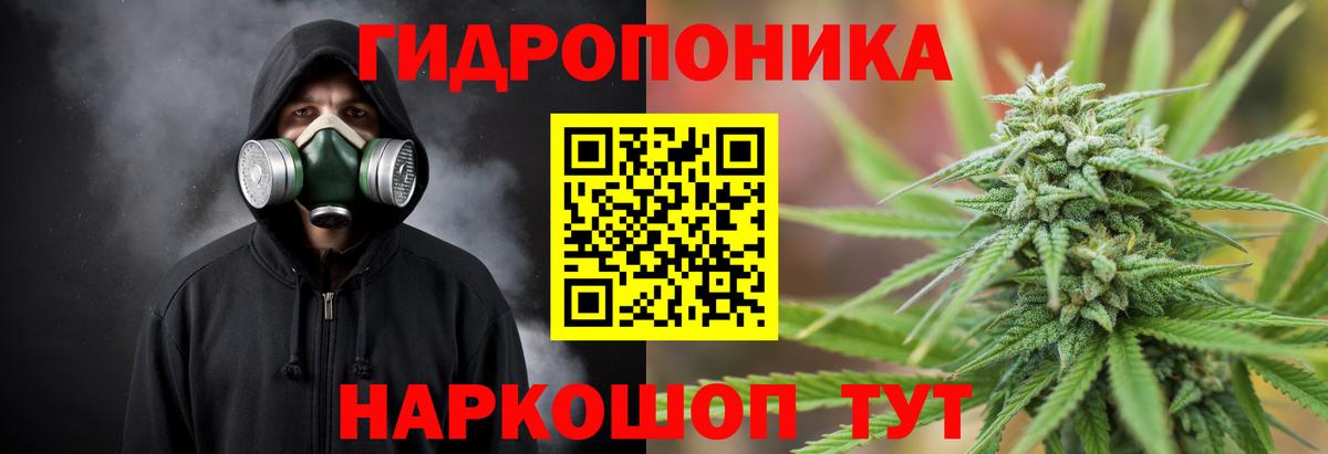 Каннабис SATIVA & INDICA  Бошки Шишки SATIVA & INDICA  Каннабис LSD WEED  Вход с VPN  Конопля марихуана  Канаш 